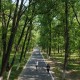 华体会体育登录入口-万亩林海藏“神仙赛道”，民权马拉松绘就城市新画卷